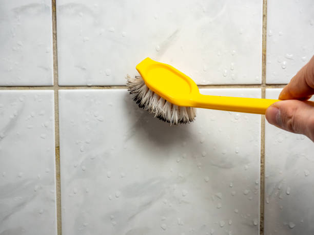 Best Localized Mold Remediation (e.g., coastal areas, humid climates) in Commerce, CA