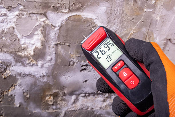 Best Mold Remediation for Schools in Commerce, CA