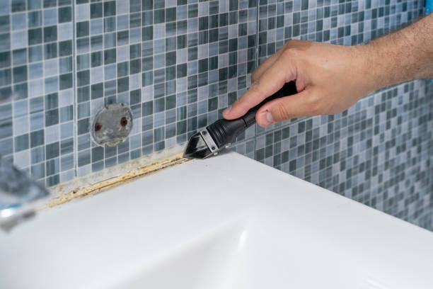Best White Mold Remediation in Commerce, CA